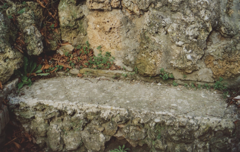 Détail à l'intérieur de la grotte